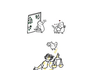 hediyeh sedighi kasmaei iran1 2