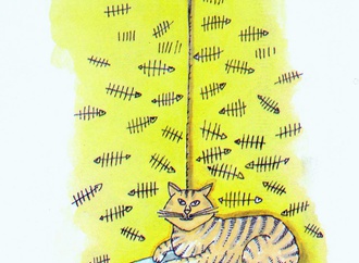 mehmet selcuk turkey