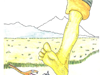 vladimir stevovic serbia 8