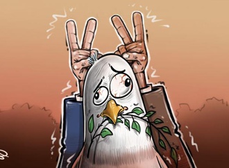 mohamed sabra 8