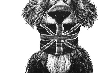 Gallery of Caricatures by Ricardo Martinez From  Chile