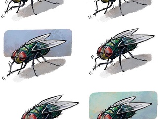 Gallery of Cartoon by Dalcio Machado-Brazil