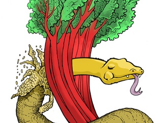 Gallery:6th International Rhubarb Cartoons Contest, Romania 2024