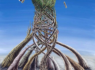 reza jangi iran 2