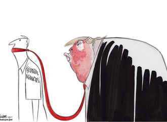 ann telnaes sweden 35