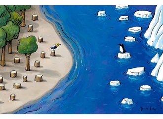 dalcio machado brazil 3