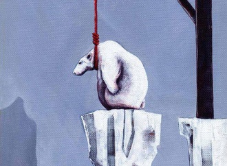 farhad bahrami reykani9