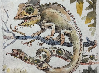 john cuneo usa00029