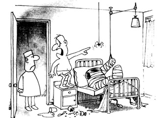 Gallery of 60 years cartoons by Quino-Argentina