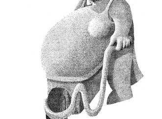rezaie heydar
