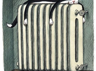 franco matticchio16