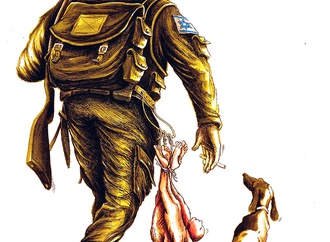 kursat zaman turkey 8