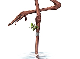 alireza zakeri iran 2