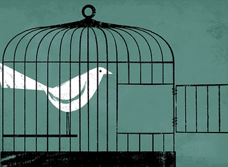 iker ayestaran spain 34