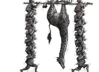 claude serre france 14