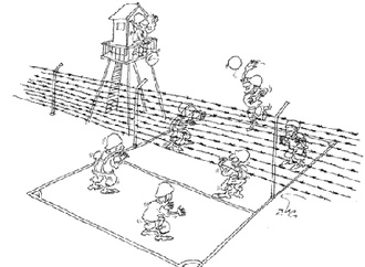 mohammad hoseein niromand 3