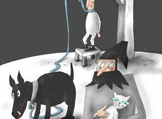 dariusz dabrowski poland 6