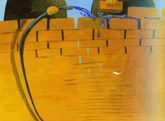 shirin golipour iran