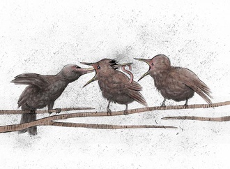 shahin houshmand iran 4