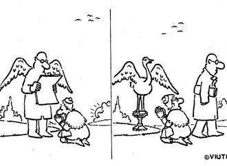 viuti2