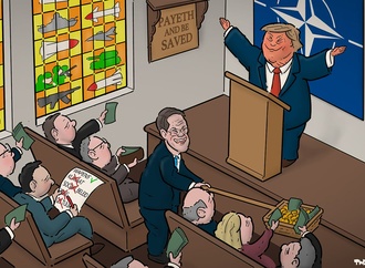 tjeerd royaards 8