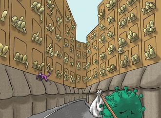 mojtaba belghadr iran1