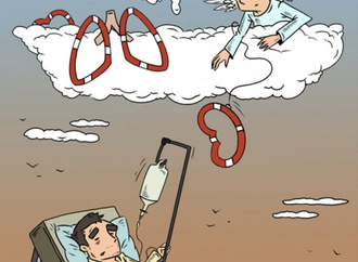 organ donation70