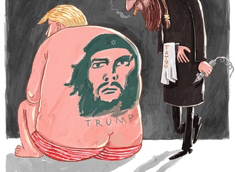cartoon section43