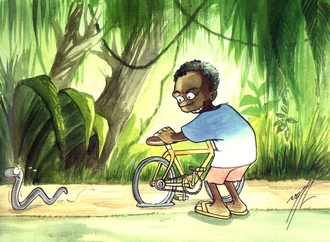 norbert van yperzeele belgium