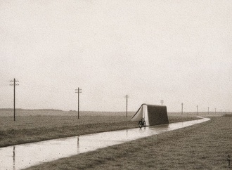 quint buchholz25