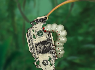 jon berkeley ireland 85