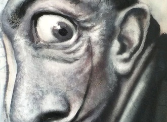ray costa brazil2salvador dali