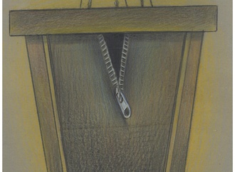 xiao qiang hou china 35