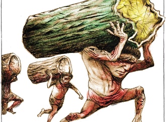 









                                                                                                  Cau Gomez - Brazil