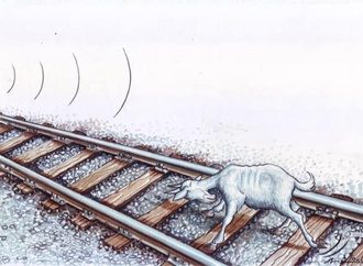 halit kurtulmus aytoslu4