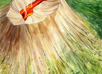 saeed sadeghi7