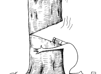 mohsen zarifian iran 62