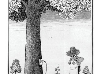 quino22