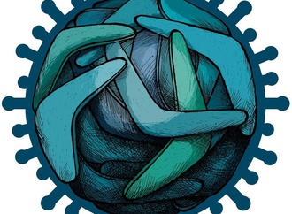 Gallery of Cartoons by Ares-Cuba