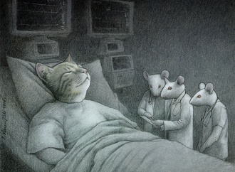 pawel kuczynski poland 202