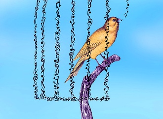 mohammad hosein akbari 3