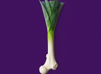 Gallery of Humor Photo by Jose Navarro-Germany