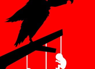 mohammadjavad pardakhteh iran 3