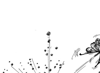 oswaldo miran brazil 32