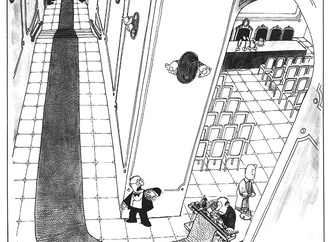 quino 2