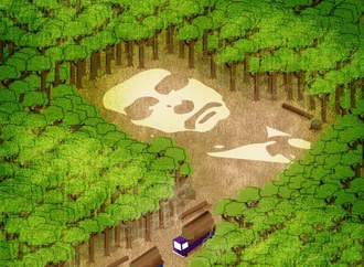 Bolsonaro and deforestation