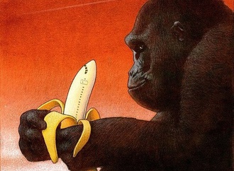 pawel kuczynski poland 87