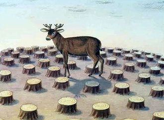 gurbuz dogan eksioglu turkey 120