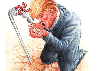 cartoon section272