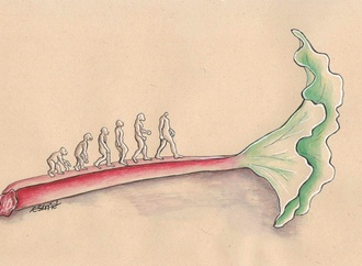 Finalists of 6th International Rhubarb Cartoons Contest, Romania 2024